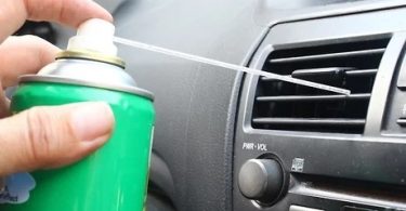 How to Get Rid of Ants in Car Vents